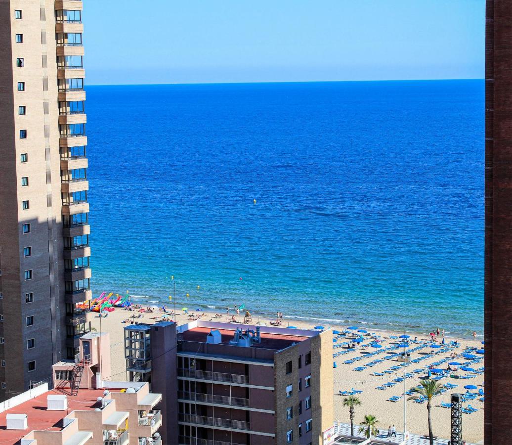Caballos Premium 16-f Levante Benidorm