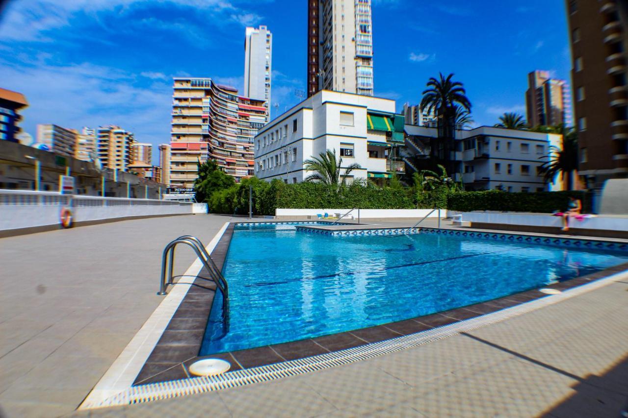 Caballos Premium 16-f Levante *